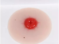 Colostomie Wondmodel, Zelfklevend