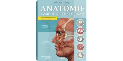Anatomie van het Menselijk Lichaam