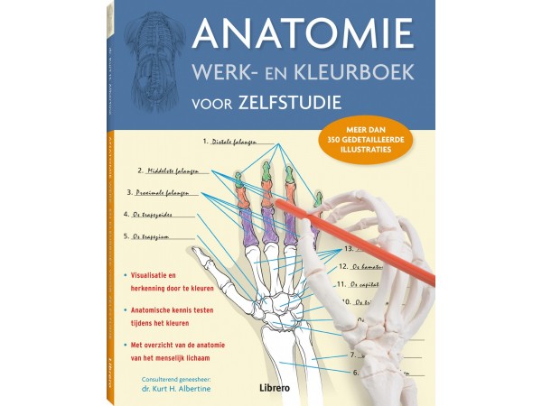 Anatomie Werk- en Kleurboek voor Zelfstudie
