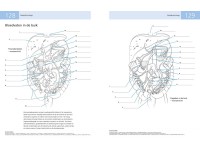 Anatomie Werk- en Kleurboek voor Zelfstudie