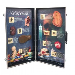 Gevolgen van Drugsgebruik, 3D Display