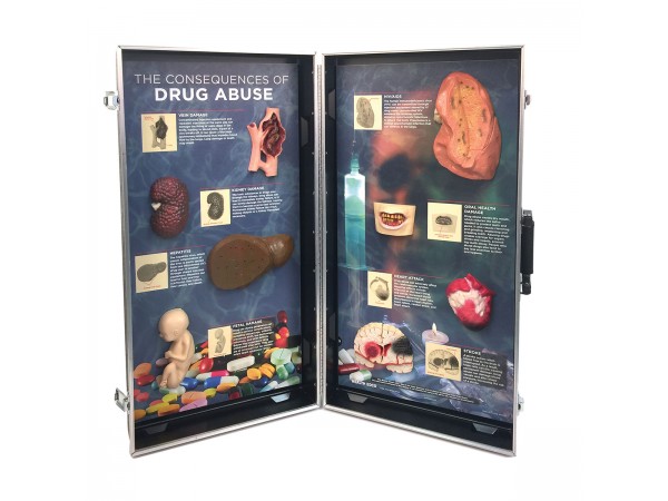 Gevolgen van Drugsgebruik, 3D Display