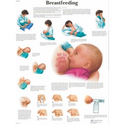 Borstvoeding, gelamineerde wandplaat