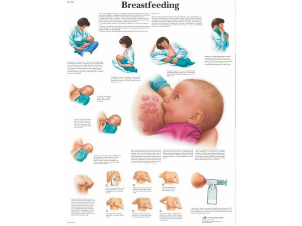 Borstvoeding, gelamineerde wandplaat