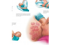 Borstvoeding, gelamineerde wandplaat