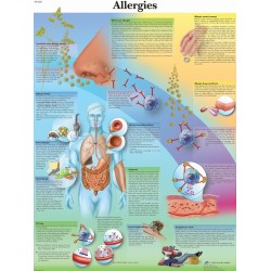 Allergie, papieren wandplaat Allergie, papieren wandplaat
