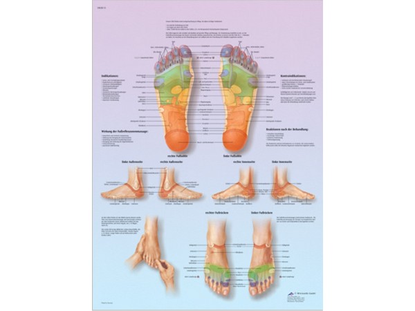 Voetreflex zone Massage, gelamineerde wandplaat