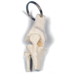 Sleutelhanger Knie