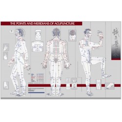 Points & Meridians of Acupuncture, wandplaat