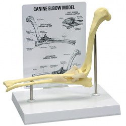 Ellebooggewricht hond Ellebooggewricht hond
