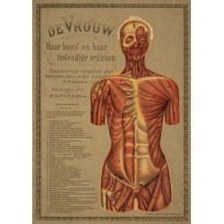 Wandplaat Dr. Aletta Jacobs, spieren vrouw, A1 formaat