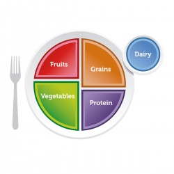 MyPlate Bord