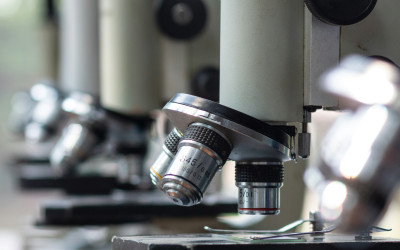 Biologie Experimenten Sets