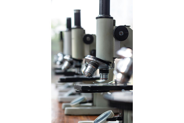 Biologie Experimenten Sets