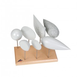 Vormenset voor Luchtweerstand en Drijfvermogen Experimenten