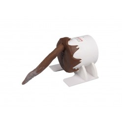 Oefenmodel Rectaal Onderzoek Hond