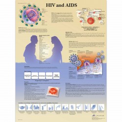 Aids & HIV, papieren wandplaat Aids & HIV, papieren wandplaat