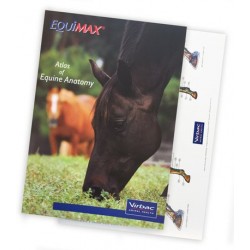 Anatomische Atlas van het Paard Anatomische Atlas van het Paard