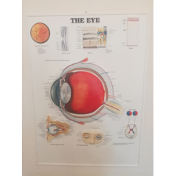 3D Reliëf Oogposter -- Met kleine beschadiging