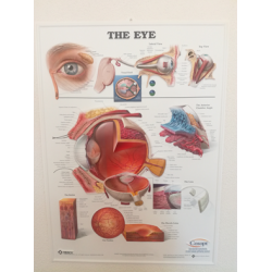 3D Reliëf Poster Oog Groot 3D Reliëf Poster Oog Groot