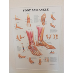3D Reliëf Poster Voet en Enkel