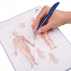 Acupunctuur-Meridianen Notitieblok Acupunctuur-Meridianen Notitieblok