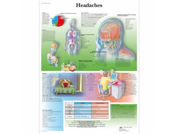 Hoofdpijn Poster Gelamineerd