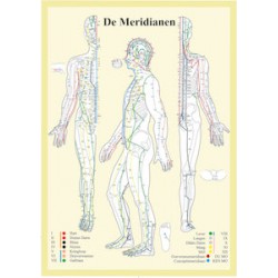Meridianen Poster A2 Nederlands Meridianen Poster A2 Nederlands