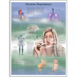 Nicotineverslaving Poster Gelamineerd