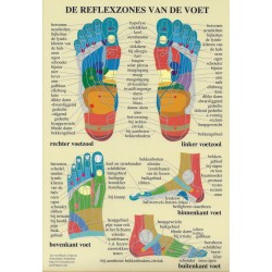 Reflexzones Voet A4 Kaart Nederlands Reflexzones Voet A4 Kaart Nederlands