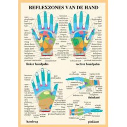 Reflexzones Hand A4 Kaart Nederlands Reflexzones Hand A4 Kaart Nederlands