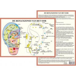 Reflexzones Oor A4 Kaart Nederlands