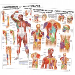 Triggerpoint Poster Set Gelamineerd