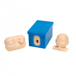 Geboorte Simulatiemodel Geboorte Simulatiemodel