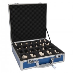 Set van alle Wervels, BONElike Set van alle Wervels, BONElike