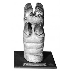 Hoef Model Varken met Ziekte