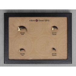 Hondachtigen Klauwen Set (4 stuks)