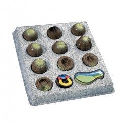 Model Embryo Ontwikkeling van de Bruin Kikker (12 stadia)