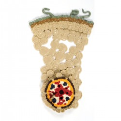 Weefsel Structuren Boterbloem Wortel Model