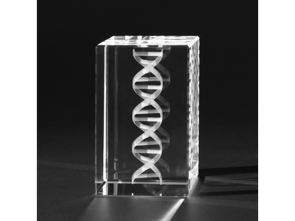 3D Kristal DNA