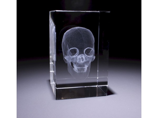 Anatomie Glasblok Schedel