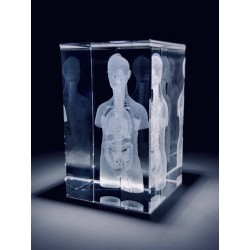 Glasblok Torso 