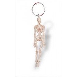 Sleutelhanger Skelet Sleutelhanger Skelet