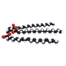 Scheikundig Vetglyceryltristearaat Model