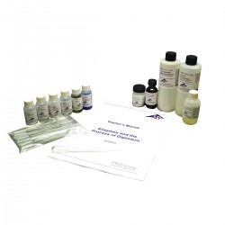 Enzymen en het Spijsverteringsproces Experimenten Set