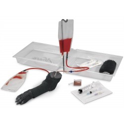 Intraveneuze Injectie Poot Hond