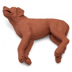 Reanimatie Trainer Hond