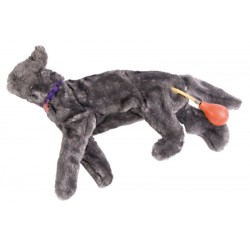 Reanimatie Trainer Kat Fluffy