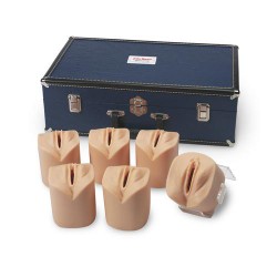 Ontsluitingsfase Cervix Simulator