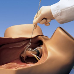 Gynaecologisch Trainingsmodel